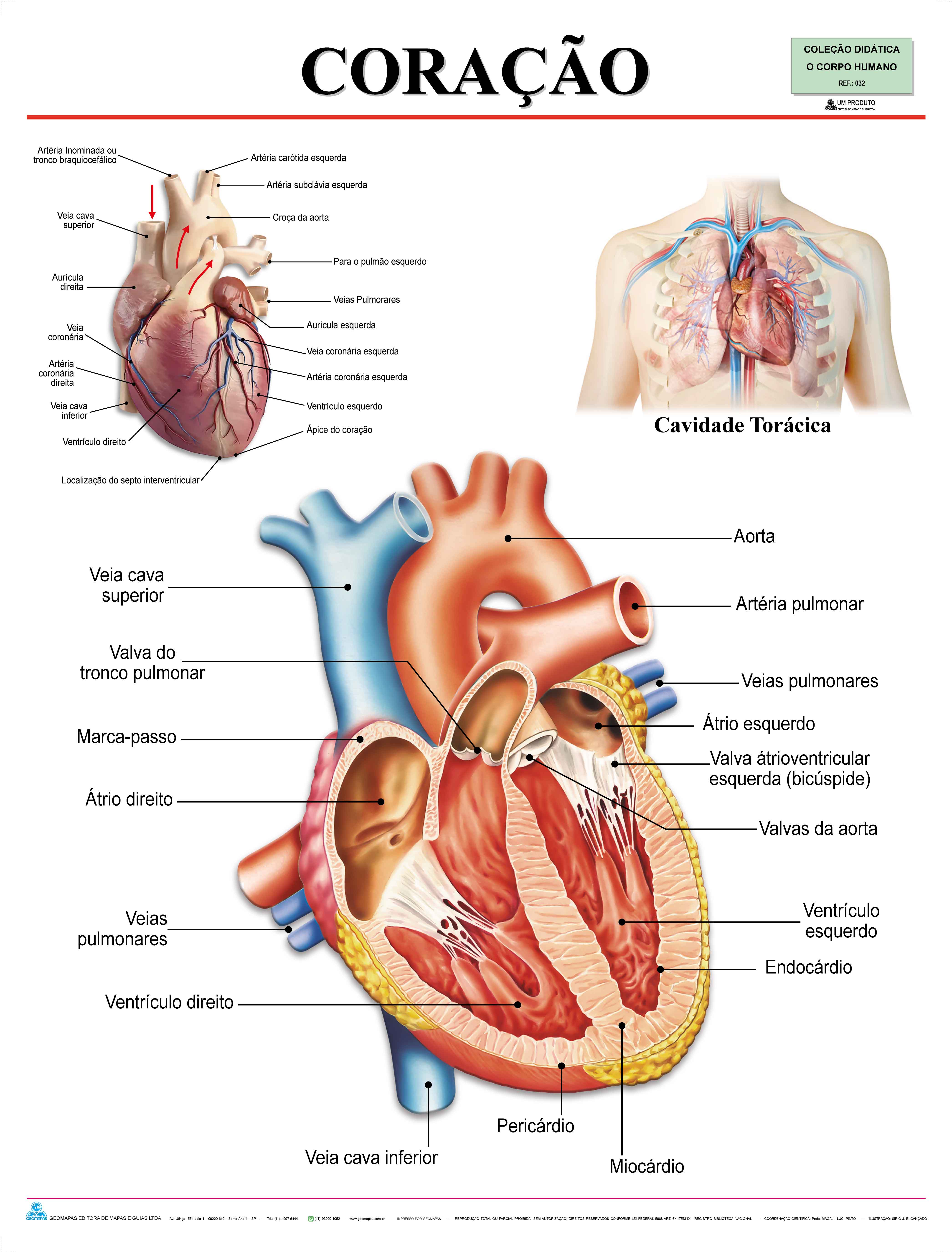 Ref. 032 Prancha - Coração - Formato 0,90x1,20m