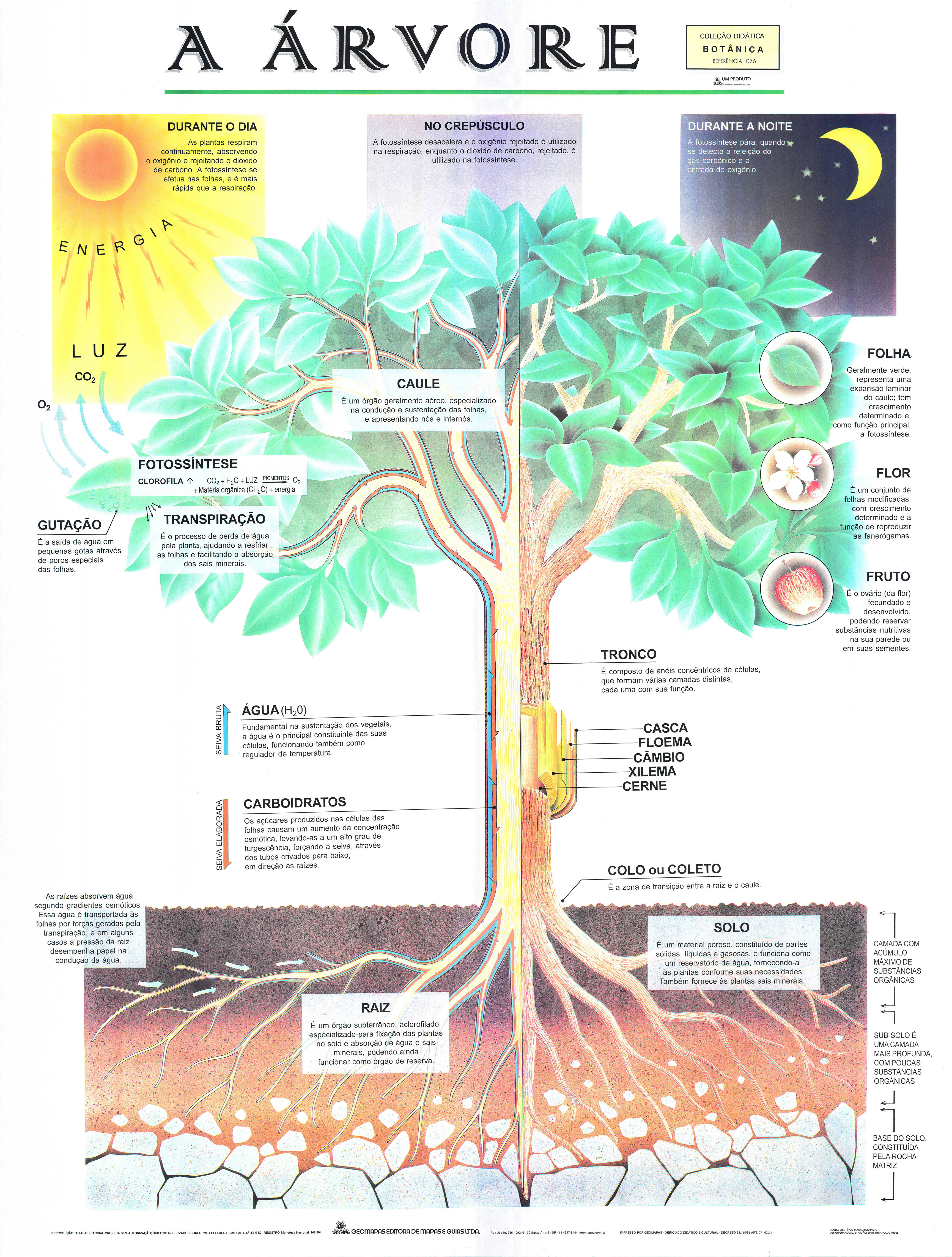 Ref. 076  Prancha - A  Árvore - Formato  0,90x1,20m