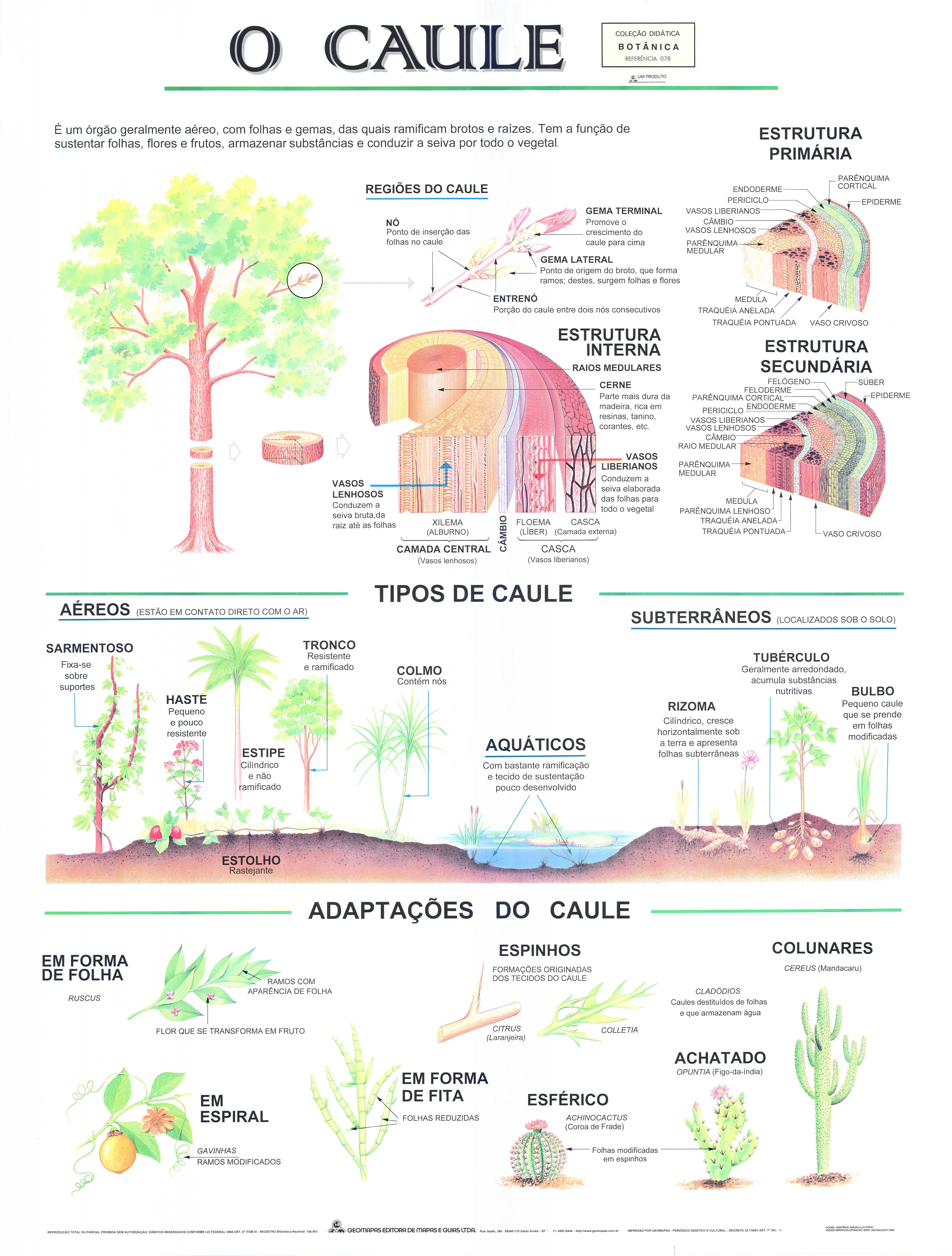 Ref. 078 Prancha - O Caule - Formato 0,90x1,20m