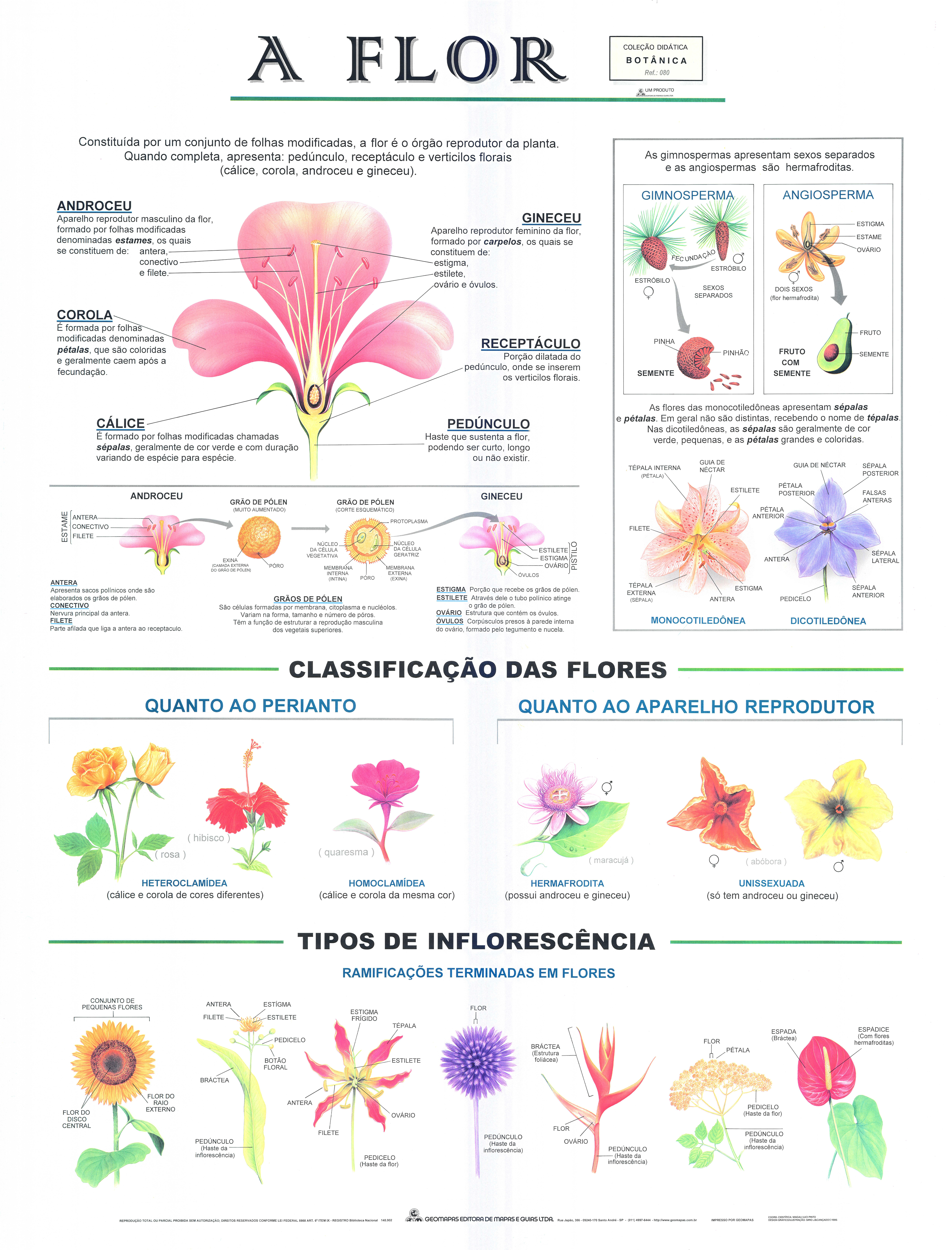 Ref. 080 Prancha - A Flor - Formato 0,90x1,20m