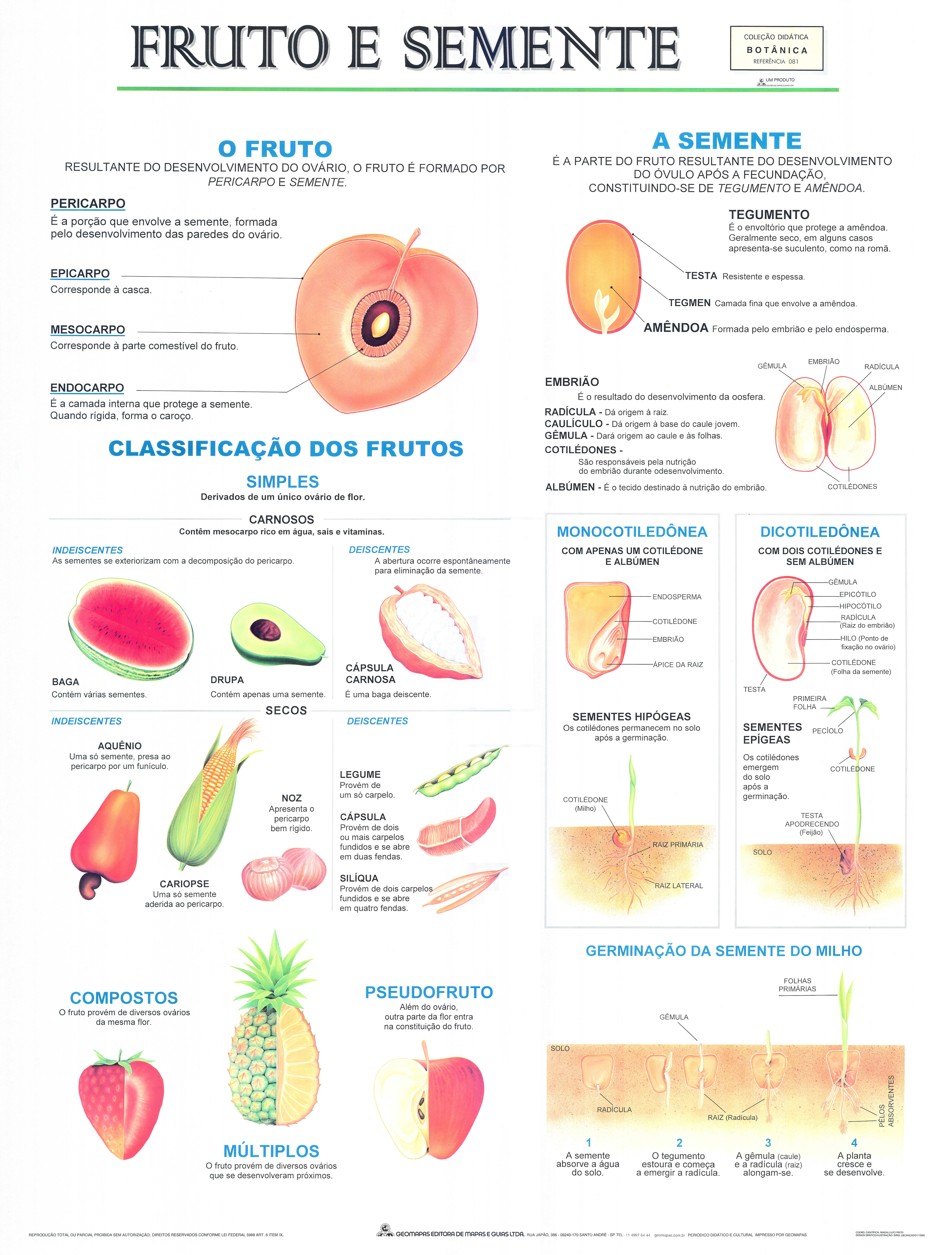 Ref. 081 Prancha - Fruto e Semente - Formato 0,90x1,20m