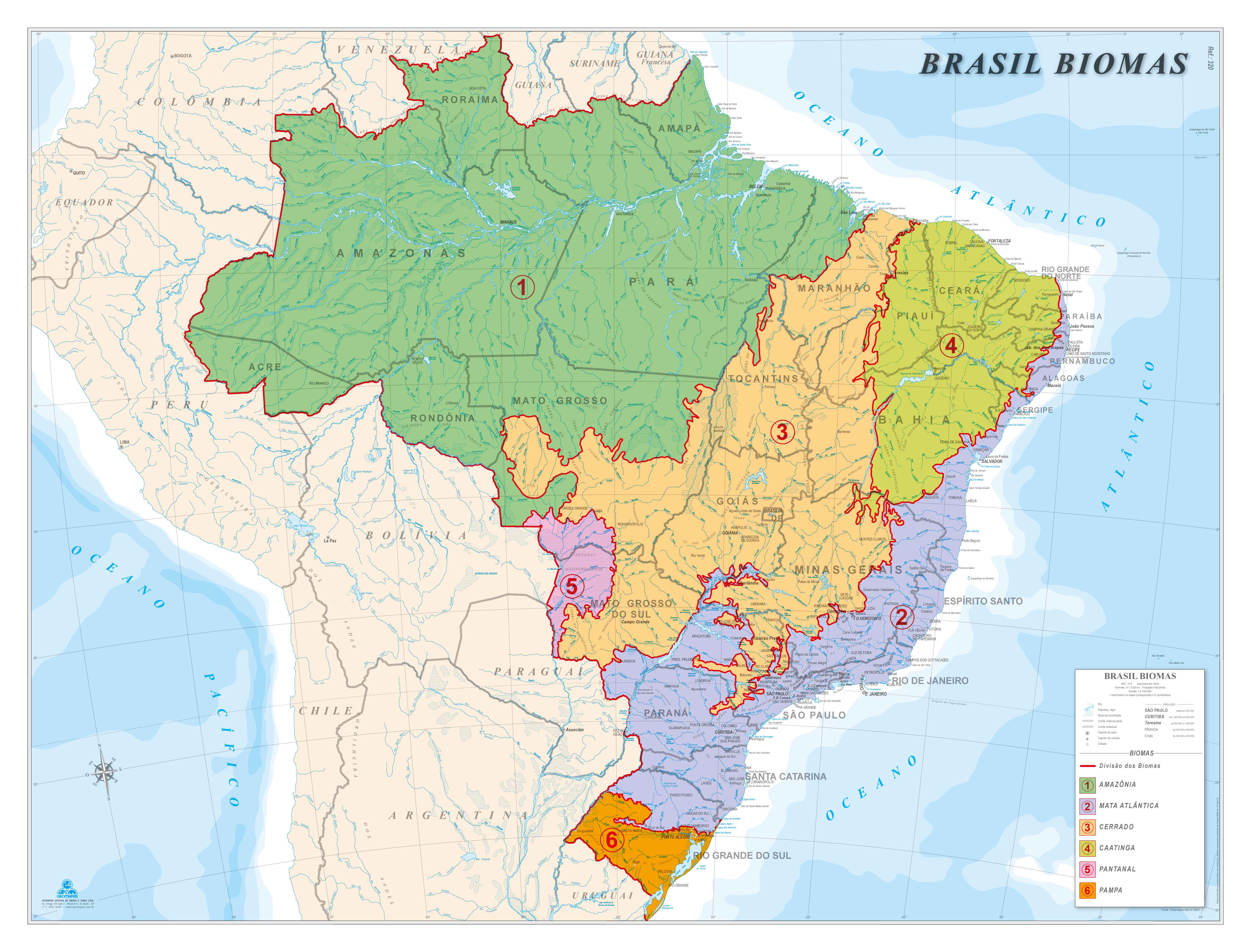 Ref. 320 Mapa do Brasil Biomas - Formato 1,20x0,90m